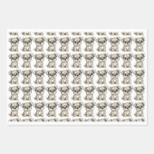 Feuilles d'enveloppement d'anniversaire pour anima (Devant 2)