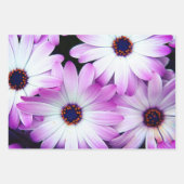 Feuilles d'enveloppement de cadeaux pourpres (Devant 2)