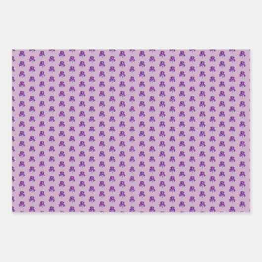 Feuilles d'enveloppement d'images Iris marquant vi (Devant)