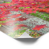 Feuilles D'Érable En Automne Photo Imprimer (Coin)