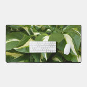 Feuilles d'hosta (Clavier et souris)