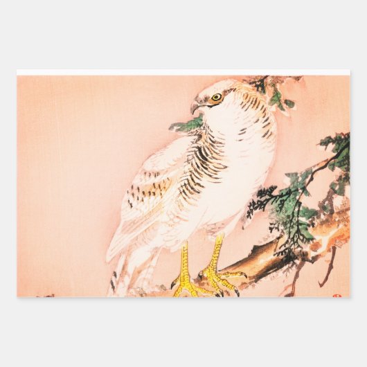 FEUILLES D'IMPRESSION EN BOIS DE FALCON JAPONAIS (Devant)