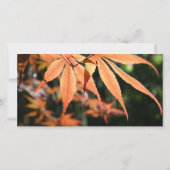 Feuilles en Automne Sympathie Merci carte photo (Dos)