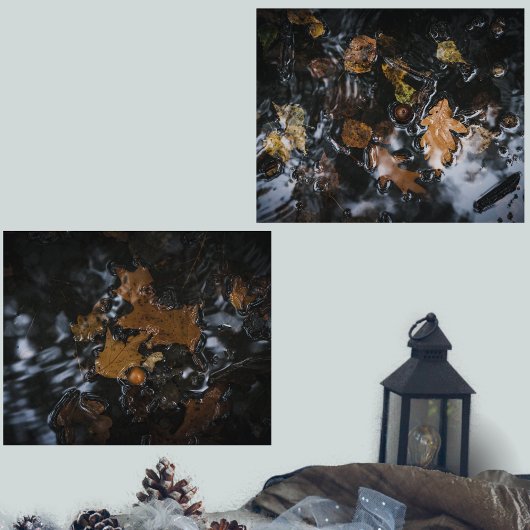 Feuilles et glands d'automne dans des eaux mystéri