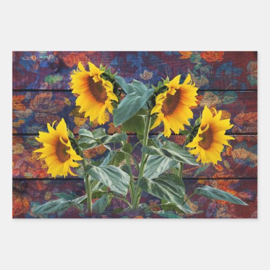 Feuilles et tournesols d'automne en Russie (Devant)