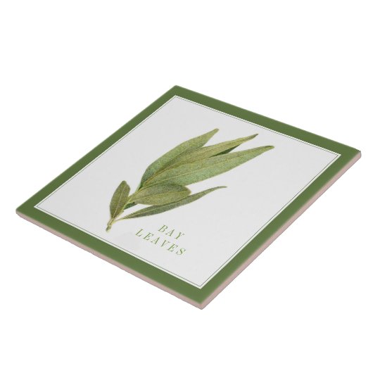 FEUILLES FRESH BAY 6"x6" Carreaux en céramique (+t (Côté)