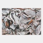 FEUILLES HIVER (Devant 2)