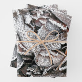 FEUILLES HIVER (En situation)