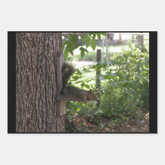 Feuilles papier d'écureuil (Devant 3)