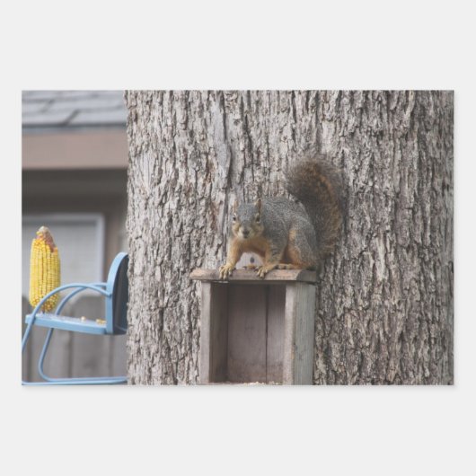 Feuilles papier d'écureuil (Devant 2)