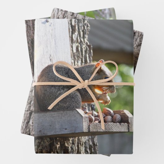 Feuilles papier d'écureuil (En situation)