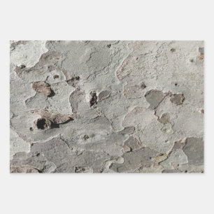 Feuilles papier d'emballage motif d'écorce d'arbre