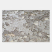 Feuilles papier d'emballage motif d'écorce d'arbre (Devant 3)