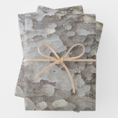 Feuilles papier d'emballage motif d'écorce d'arbre (En situation)