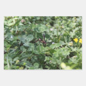 Feuilles papier d'enrobage de déchets (Devant 3)