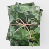 Feuilles papier d'enrobage de déchets (En situation)