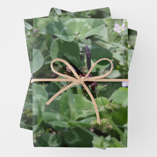 Feuilles papier d'enrobage de déchets (En situation)