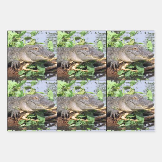 Feuilles papier d'enrobage de Gator souriant (Devant)