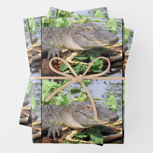 Feuilles papier d'enrobage de Gator souriant (En situation)