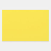 Feuilles papier d'enveloppement arc-en-ciel en ver (Devant 3)