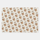 Feuilles papier d'enveloppement de Baby shower de (Devant)