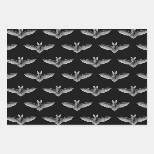 Feuilles papier enveloppant chauves-souris (Devant 3)