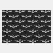 Feuilles papier enveloppant chauves-souris (Devant)