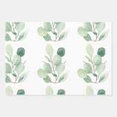Feuilles pastel Eucalyptus vert (Devant)