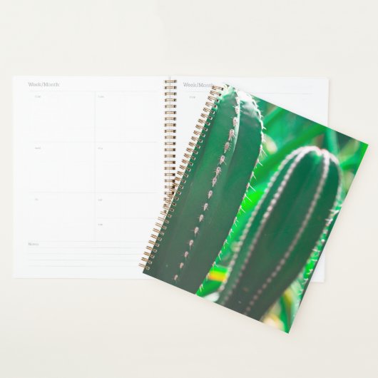 Feuilles plantes de cactus vert Juicy (Devant avec enveloppe)