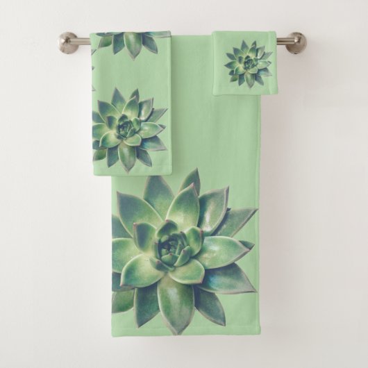 Feuilles Plantes succulents modernes sur vert clai (En situation)