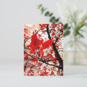 Feuilles rouges - Carte postale (Debout devant)