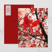 Feuilles rouges - Carte postale (Devant / Derrière)
