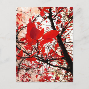 Feuilles rouges - Carte postale