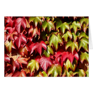 Feuilles rouges et verts
