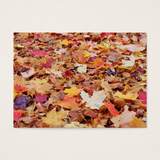 Feuilles tombés en automne (Devant)