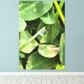 Feuilles Vertes Roumanie - Art Mural de Feuillage (Insitu (Plancher de Bois))