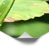 Feuilles Vertes Roumanie - Art mural de feuillage (Coin)