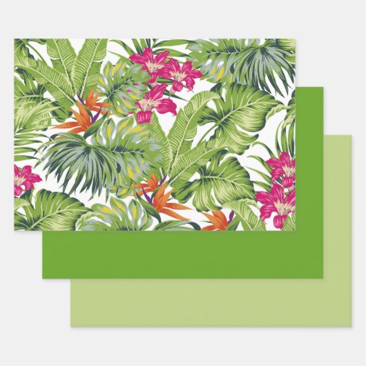 Feuilles Vertes Tropicales Fleurs Roses Oranges (Lot)