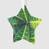 Feuilles verts (devant)