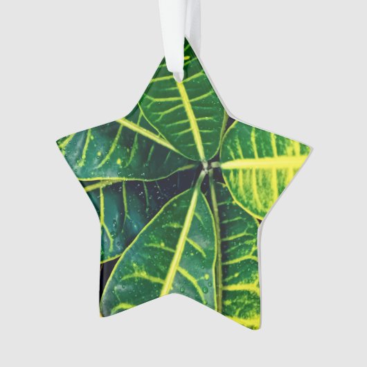 Feuilles verts (devant)