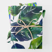 Feuilles verts du feuillage botanique (En situation)