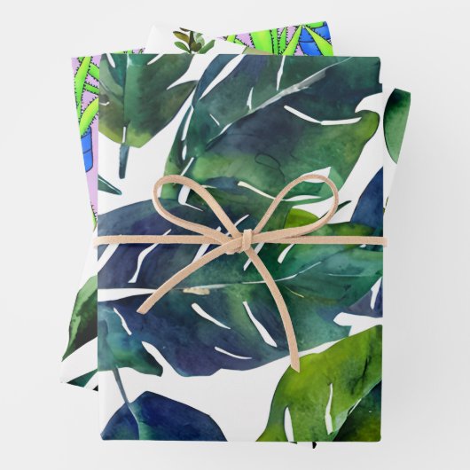 Feuilles verts du feuillage botanique (En situation)