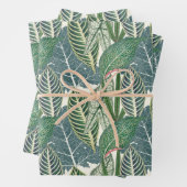 Feuilles verts tropicaux (En situation)