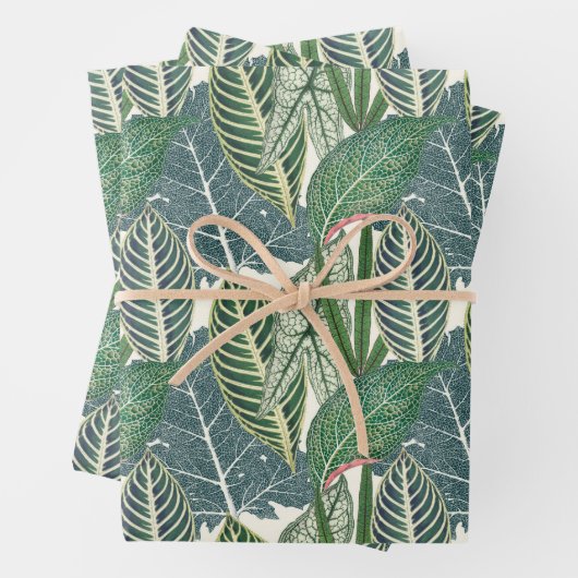 Feuilles verts tropicaux (En situation)