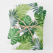 Feuilles verts tropicaux (En situation)