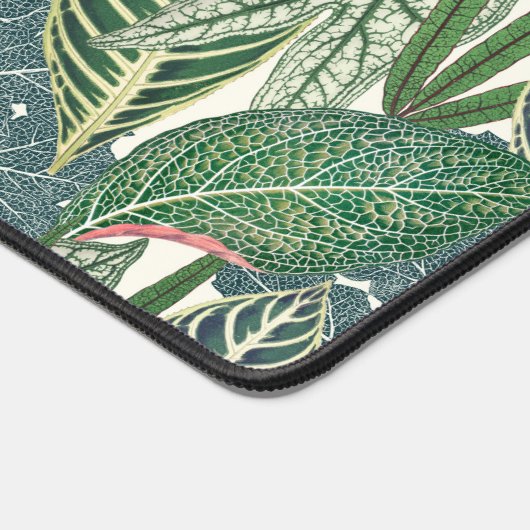 Feuilles verts tropicaux (Coin)