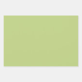 Feuilles verts tropicaux Fleurs rose orange (Devant 3)