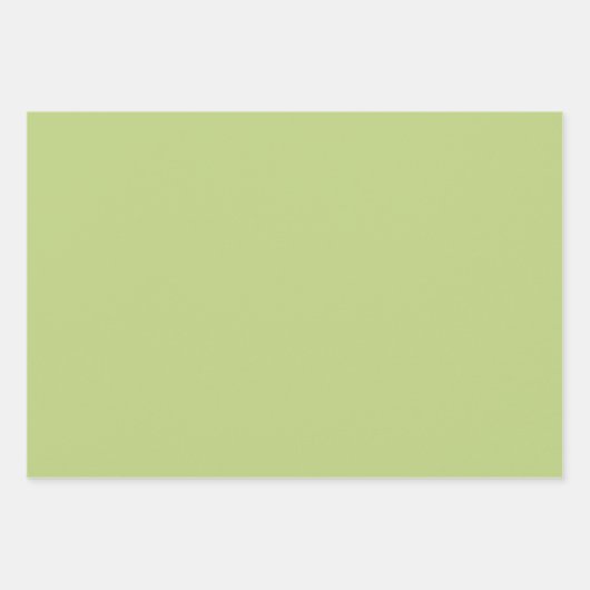 Feuilles verts tropicaux Fleurs rose orange (Devant 3)