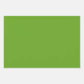 Feuilles verts tropicaux Fleurs rose orange (Devant 2)