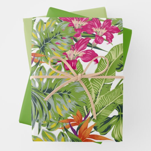 Feuilles verts tropicaux Fleurs rose orange (En situation)